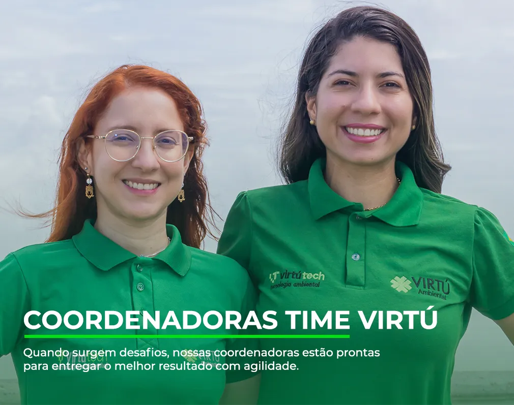 time-coordenadoras-mobile